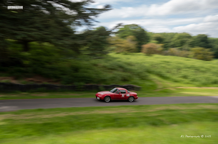 Loton Park Hill Climb