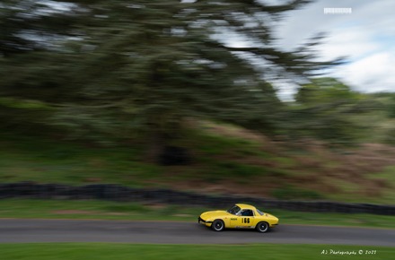 Loton Park Hill Climb