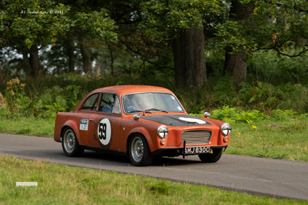 Loton Park Hill Climb