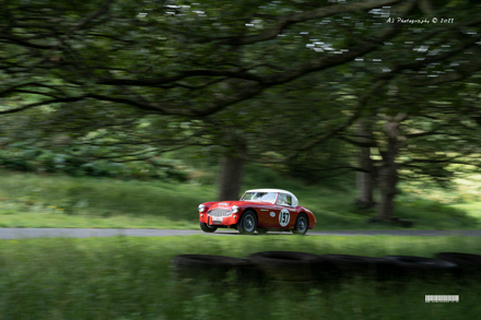 Loton Park Hill Climb