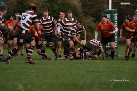 Tamworth Rugby 1ST XV