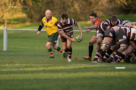 Tamworth Rugby 1ST XV