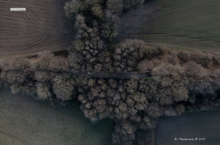 Derelict Railway Bridge