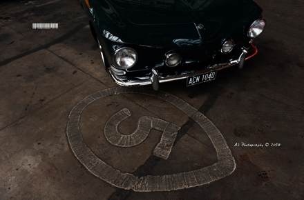 DTA End of Season Meet 2017