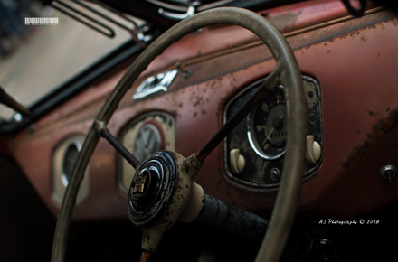 DTA End of Season Meet 2017