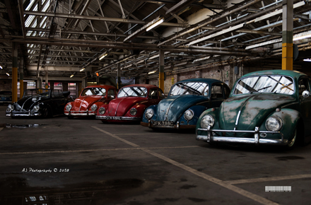 DTA End of Season Meet 2017